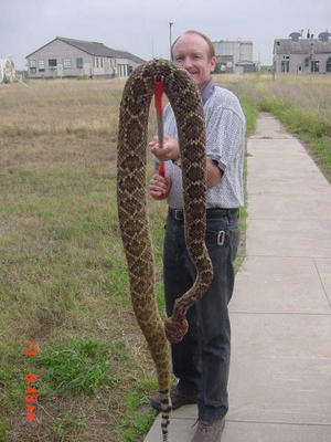 snakes 8 year 6 foot live middle 120 acres woods snakes 8 year 6 foot live middle 120 acres woods